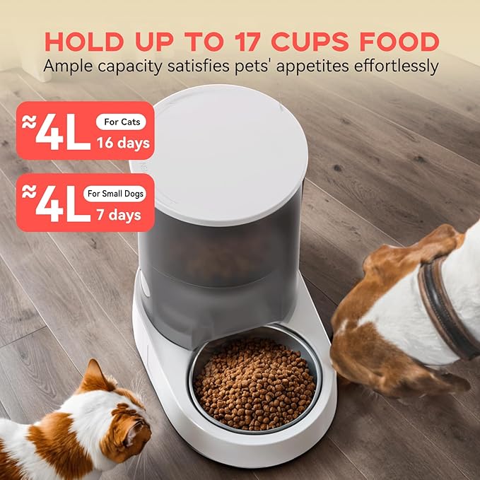 Cat Feeders - Image 4