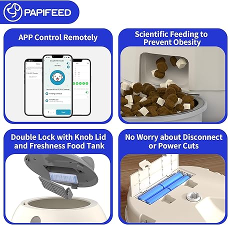 Cat Feeders - Image 2