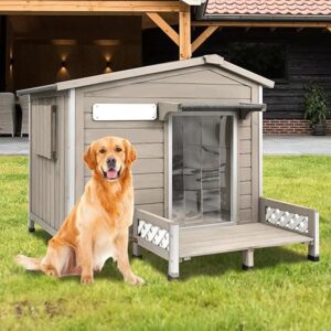 Dog House