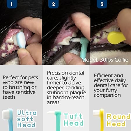 Puppy Tooth - Image 2